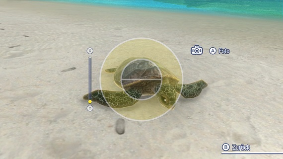 2018091108475700-F64836112794B38AB195F3CAD1E2E9E6